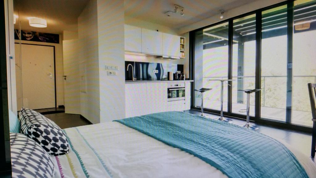 Studio Avec Terrace Docks Strasbourg Exteriör bild