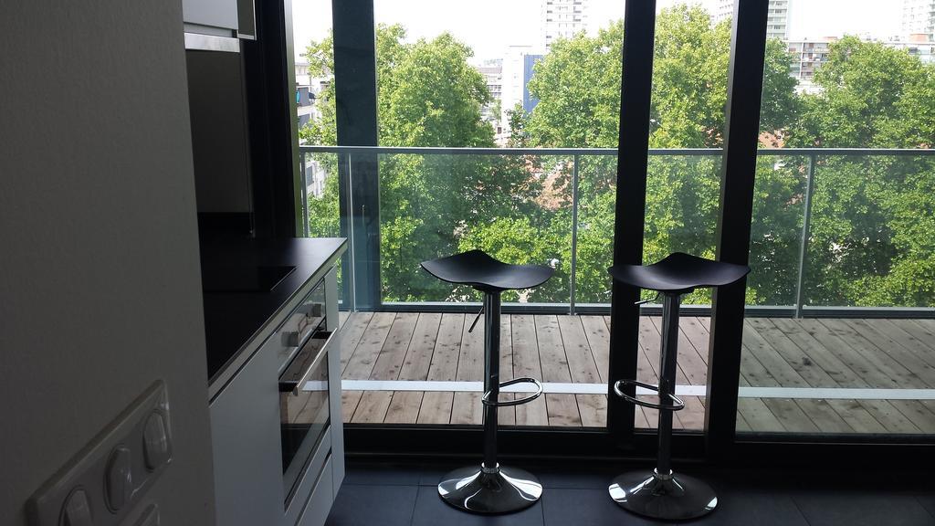 Studio Avec Terrace Docks Strasbourg Exteriör bild